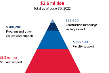 FY22 institutional support graph; text description is below