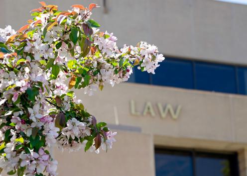 Spring flowers in front of the Law sign at the entrance to Green Hall